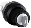 1SFA611281R1001 - M2SSK2-101 ABB Two Position Key-operated Selector Switches ABB.Africa 1SFA611281R1001 - M2SSK2-101 ABB Two Position Key-operated Selector Switches M2SSK2-101 — ABB order code 1SFA611281R1001.
