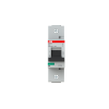 2CCS811001R0824 – S801B-C100 | ABB