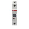 2CDS271001R0024 – S201M-C2 | ABB