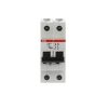 2CDS282001R0024 – S202P-C2 | ABB S202P-C2 — ABB order code 2CDS282001R0024. Rated current 2 A; 2P; breaking capacity 25 kA; rated voltage 12 / 125 / 440 V.
