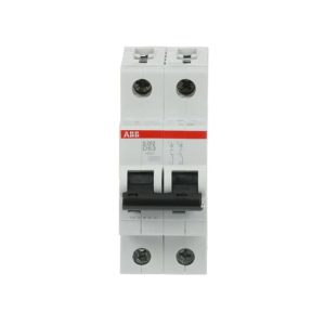 Buy 2CDS252001R0631 - S202-D63