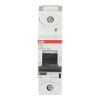2CCS861001R0824 – S801S-C100 | ABB
